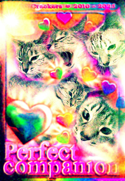 Crackers Kitty Memorial Charity "Perfect Companion" Poster - 13x19 Matte