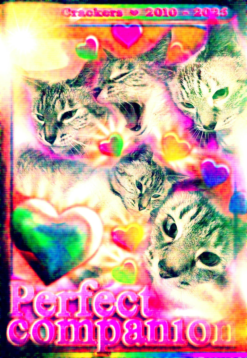 Crackers Kitty Memorial Charity "Perfect Companion" Poster - 13x19 Matte